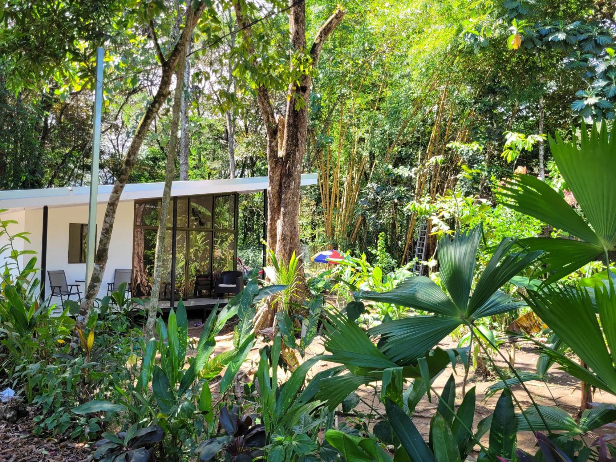 Luba House Βίλα Puerto Jiménez Εξωτερικό φωτογραφία